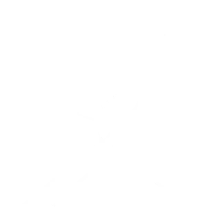 Ravei & Co. logo